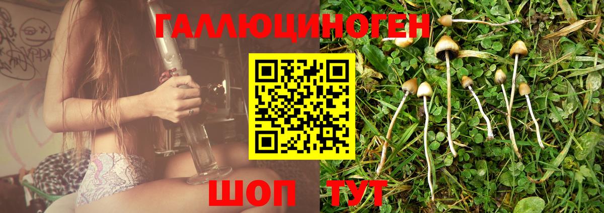 Белогорск  Галлюциногенные грибы мухоморы  Вход с VPN  Галлюциногенные грибы Psilocybe 