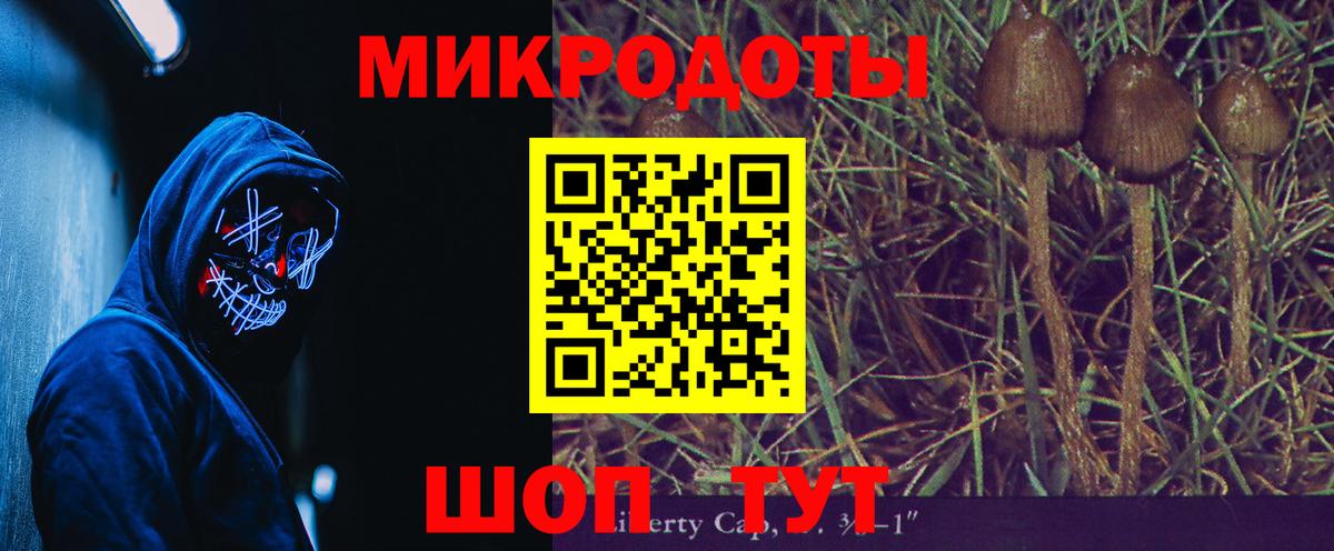 Псилоцибиновые грибы Psilocybine cubensis Белогорск