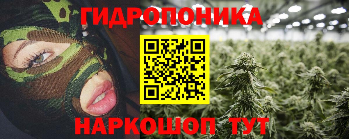 Канабис Amnesia  Вход с VPN  Бошки марихуана гибрид  Белогорск  Каннабис планчик 